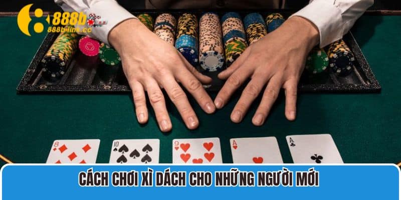 Cách chơi Xì Dách cho những người mới